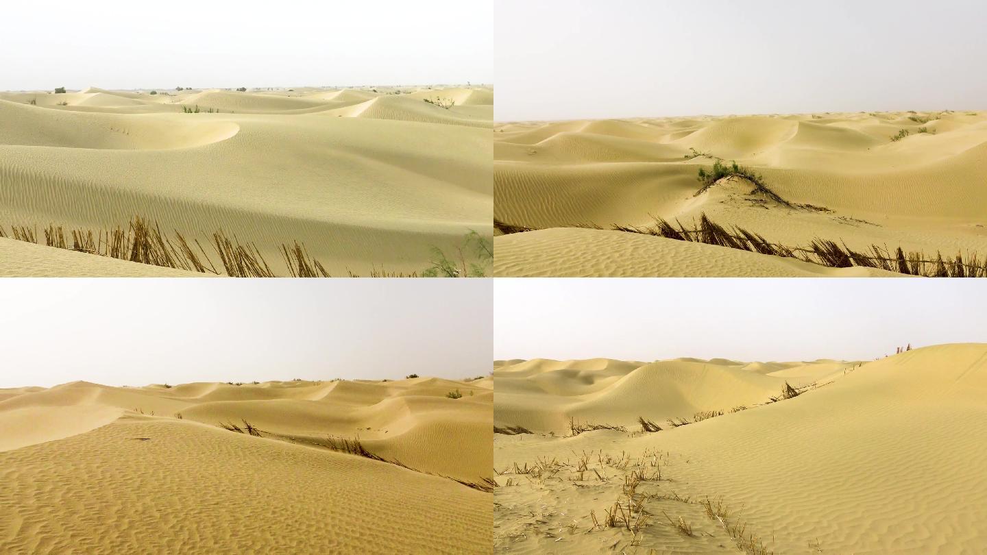 沙漠腾格里戈壁沙丘沙子植树造林