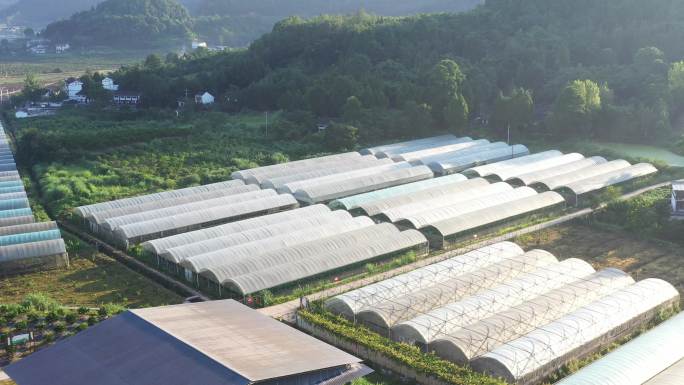 航拍四川生态农业大棚基地，有机基地