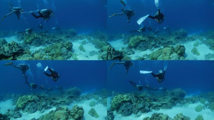 珊瑚礁潜水潜水员海底潜水珊瑚礁