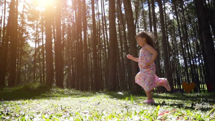 小女孩在松林里奔跑