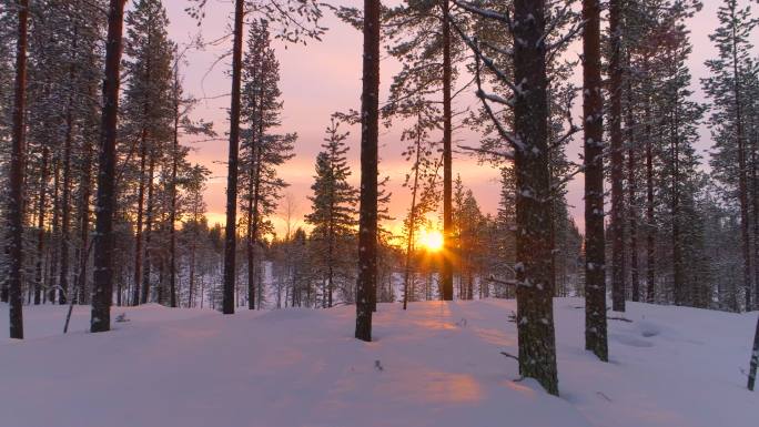 夕阳下的冬季森林白雪日出空境