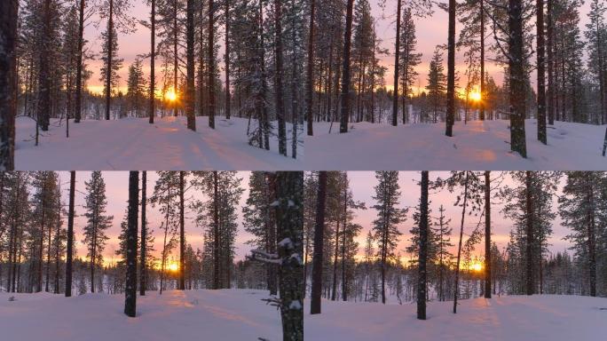 夕阳下的冬季森林白雪日出空境