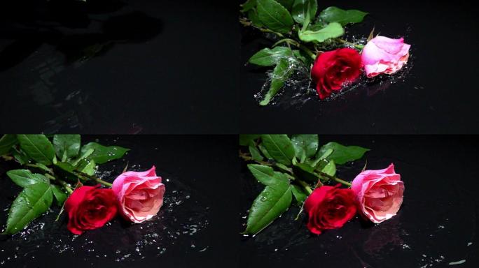 丢落水中的玫瑰花