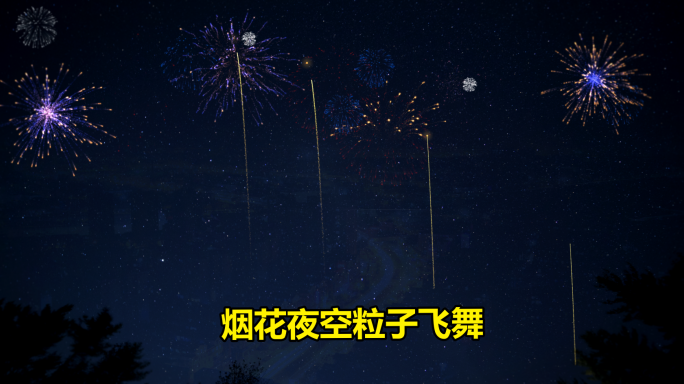 2枚烟花视频素材