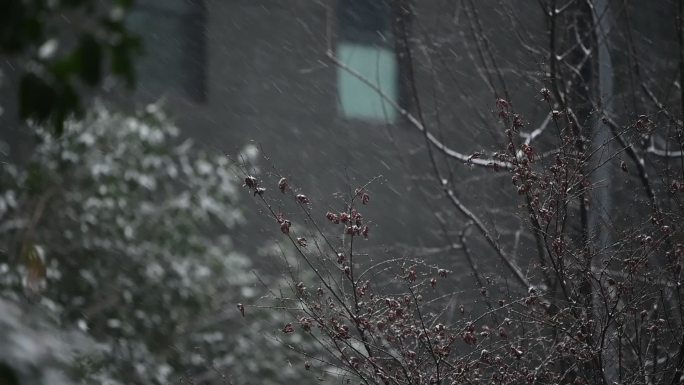 雪景下雪天小区雪景