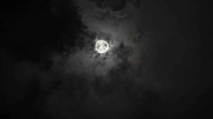4K夜黑风高月亮空镜视频素材