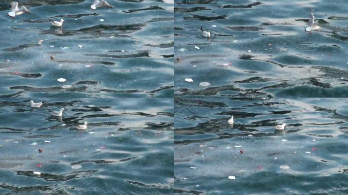 水污染水资源保护全球变暖环保组织