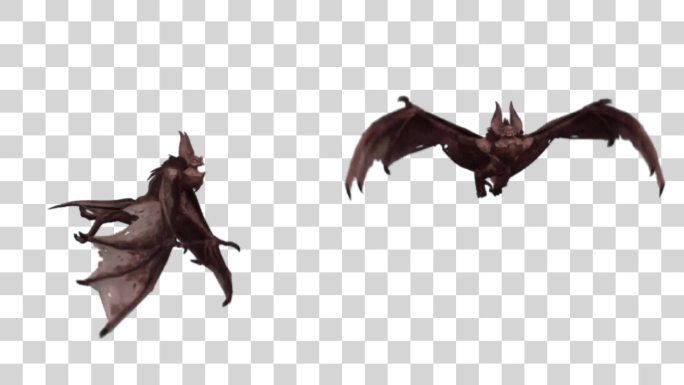 怪物蝙蝠2角度