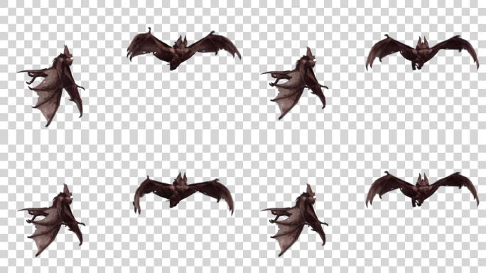 怪物蝙蝠2角度