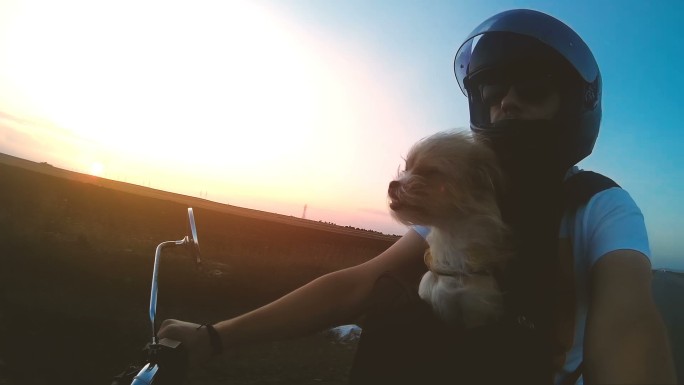 夕阳下背着狗的男子摩托车手