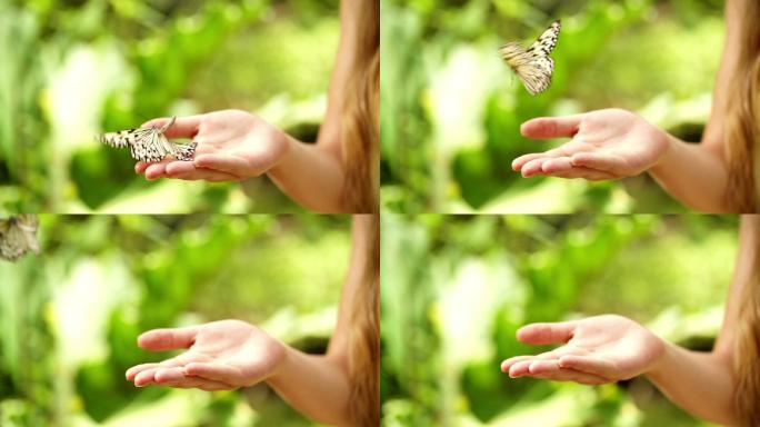 女孩手里拿着一只蝴蝶
