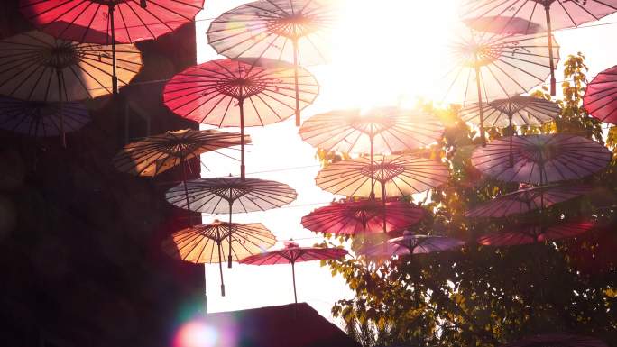 阳光下的花纸伞