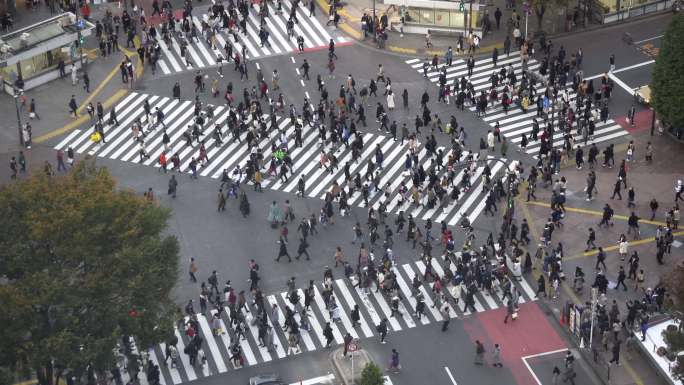 涉谷十字路口城市景观城市生活斑马线