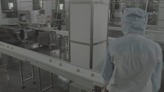 4KLogC月饼生产线食品生产线