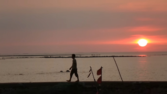 【14分钟】海边夕阳下的渔港渔民生活