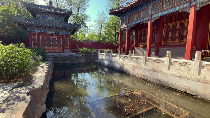 原创拍摄北京北海公园春天风光