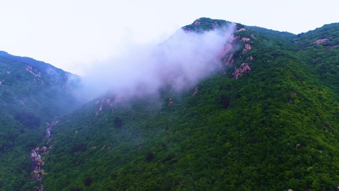 大山里面的云雾