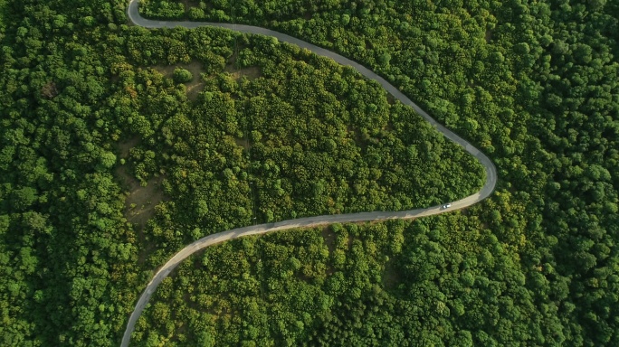 乡村道路山路十八弯大自然生态美景栖息