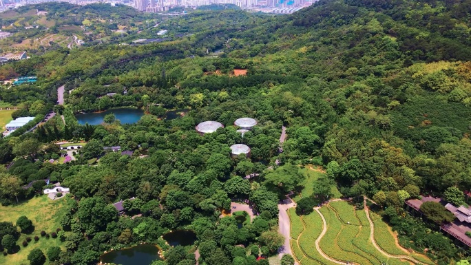 航拍广西南宁青秀山风景区北门