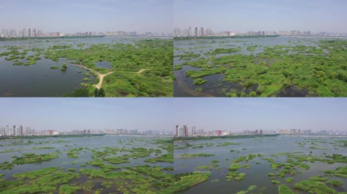 沂沭河湿地公园经开区湿地河东区