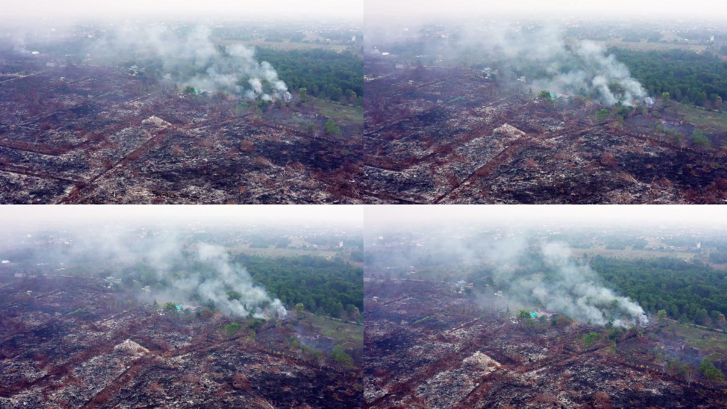 印尼婆罗洲加里曼丹岛发生森林火灾