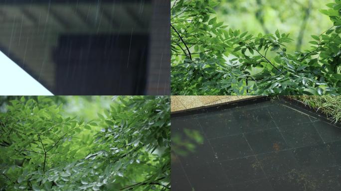 下雨树叶绿色植物雨滴水滴大雨乌云雷电暴雨