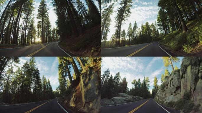森林道路开车自驾游森林公路大自然