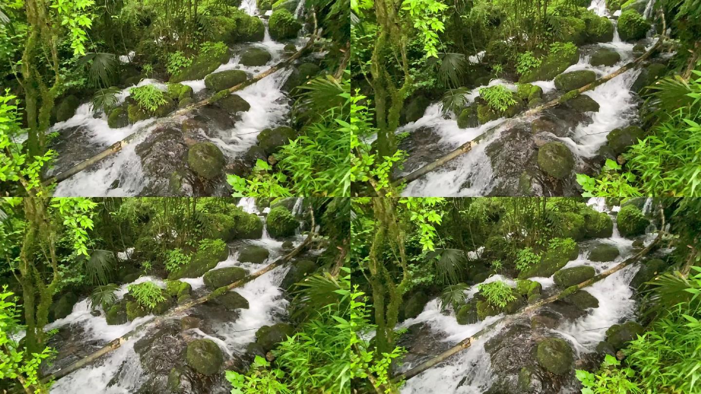 峨眉山冰泉7升格拍摄（1080P）