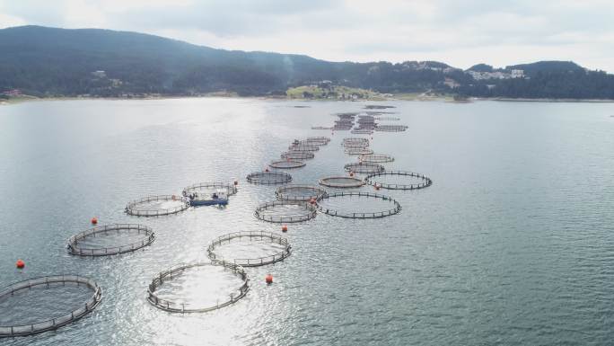 俯瞰大型养鱼场、有机水产养殖