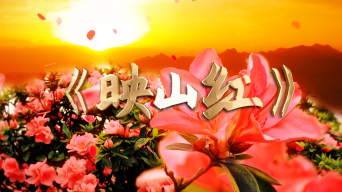 经典红歌《映山红》舞台晚会配乐背景视频素材