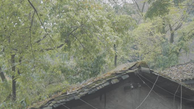 落叶掉落在老屋的房顶
