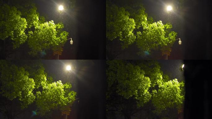 校园雨中路灯树枝监控摄像头