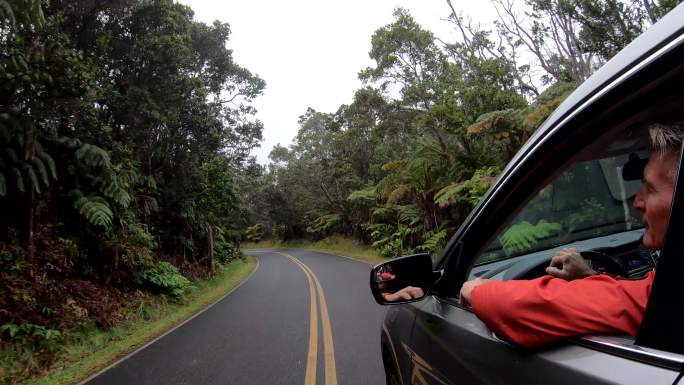 温带雨林公路上行驶车辆的视野