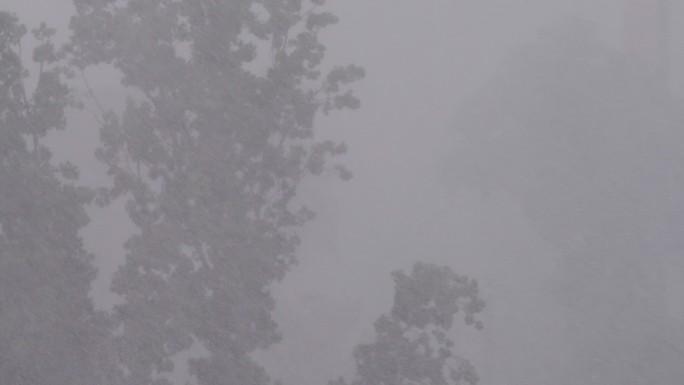 狂风暴雨大风大雨暴风雨风雨交加