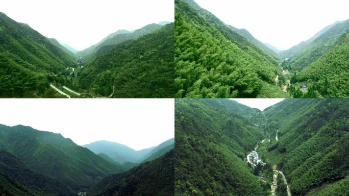 武夷山桐木关红茶风景航拍大红袍