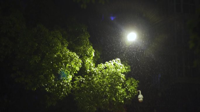 下雨夜晚马路雨中路灯