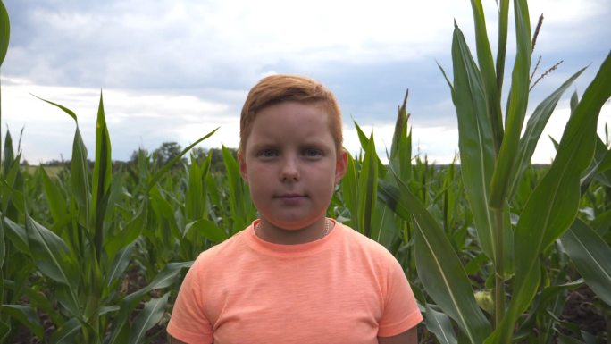 在玉米地的背景下红发男孩看着相机