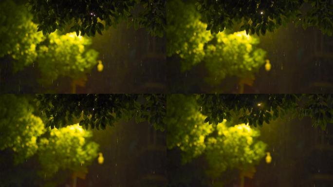 夜雨路灯光晕穿透树叶慢动作