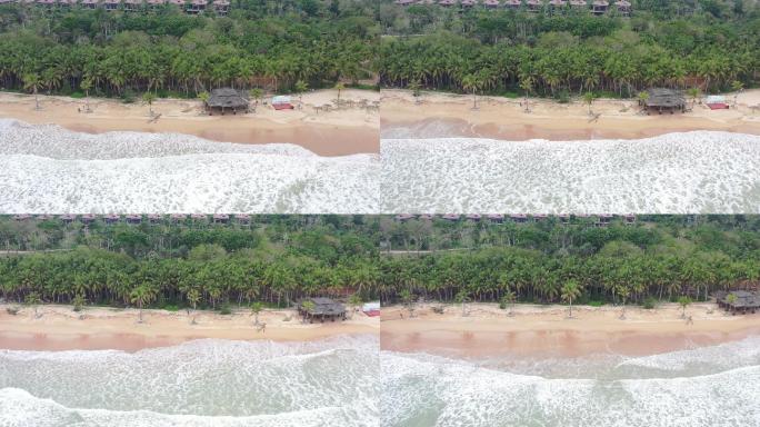 美丽的沙滩海浪椰林
