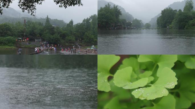 江水下雨绿叶雨滴