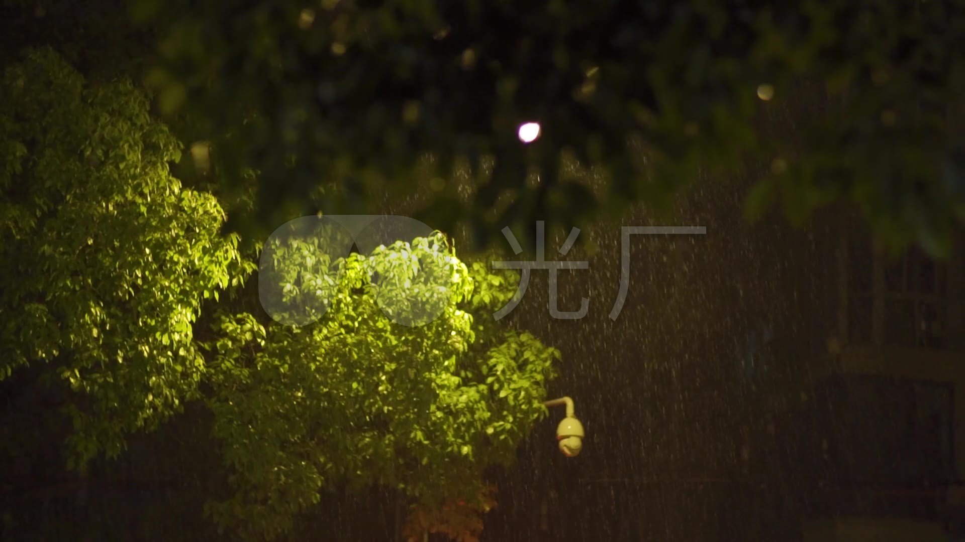 下雨夜路灯城市雨夜暴雨夏季下雨雨落下特写_1920X1080_高清视频素材下载(编号:7867160)_实拍视频_光厂(VJ师网) www.vjshi.com