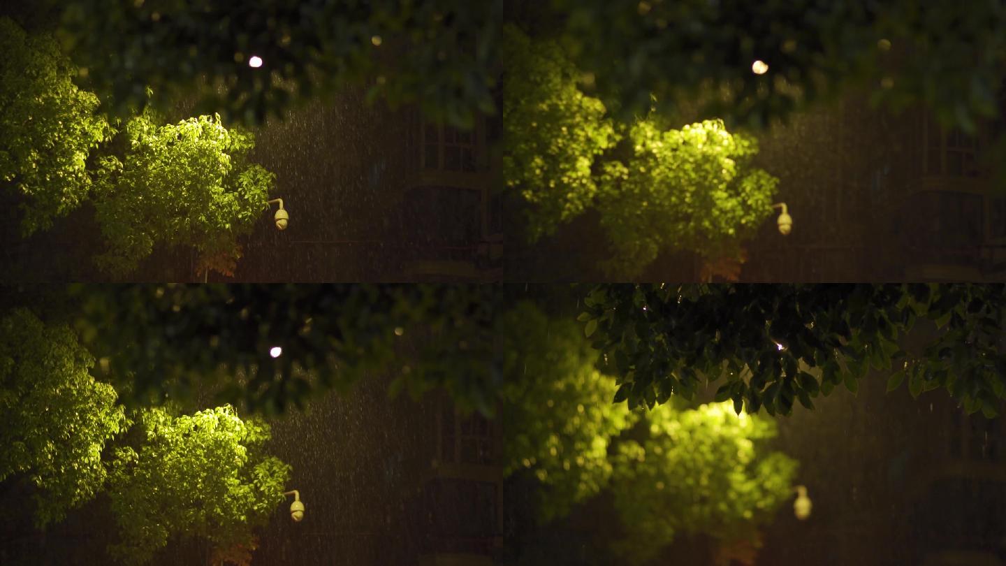 校园雨夜路灯光线穿透树叶升格