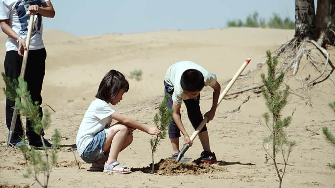 【2K升格】沙漠中小孩种树教育