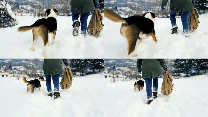 在雪里和狗玩耍