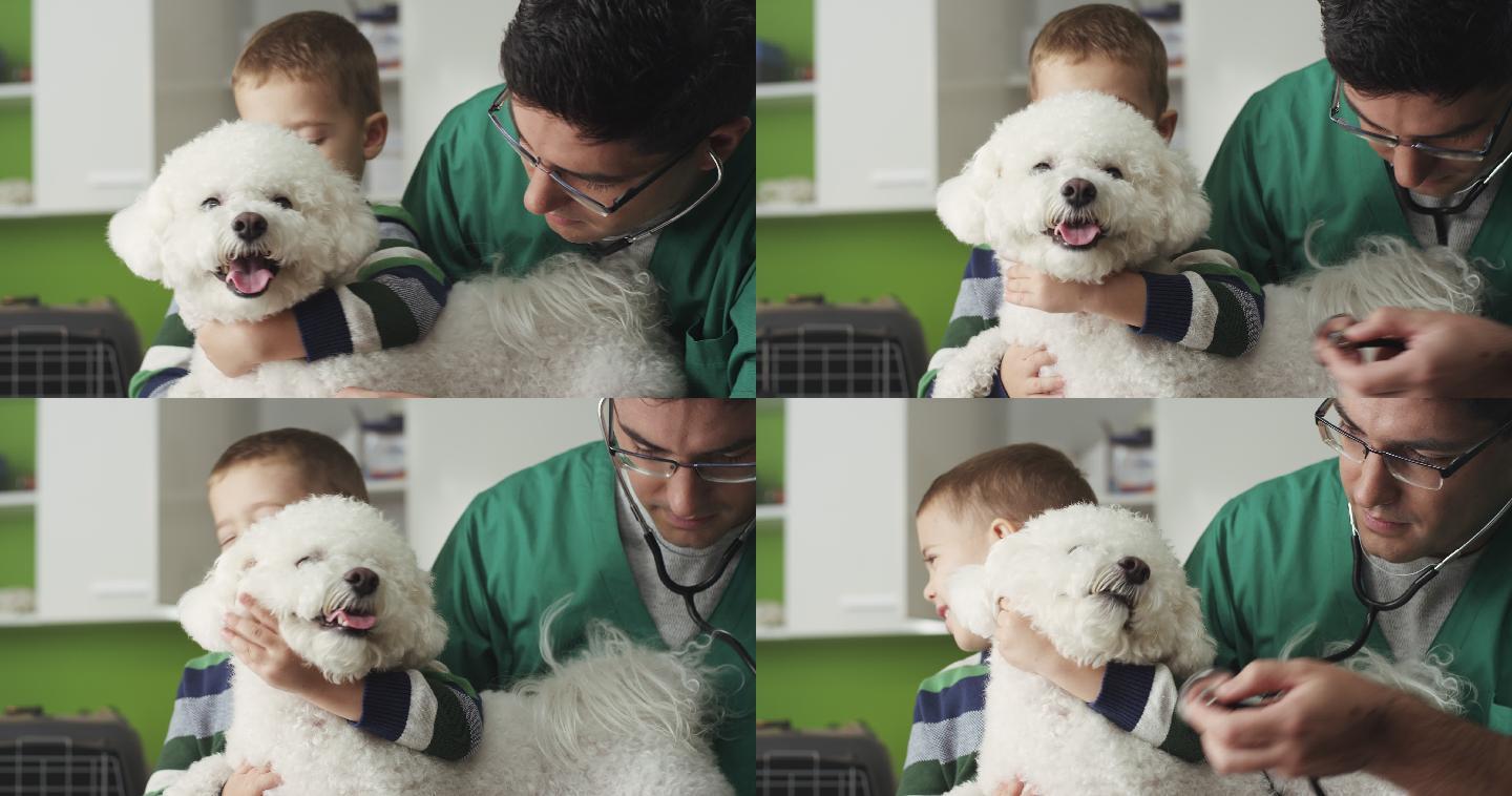 小男孩带着他的狗在看兽医