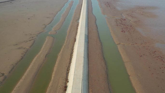 黄河入海湿地航拍