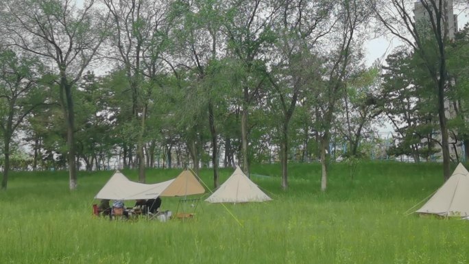 户外露营帐篷绿地春游