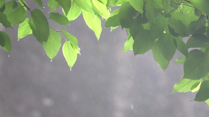 下雨天