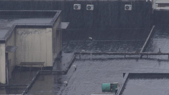 2.8K大雨中的城市楼顶05