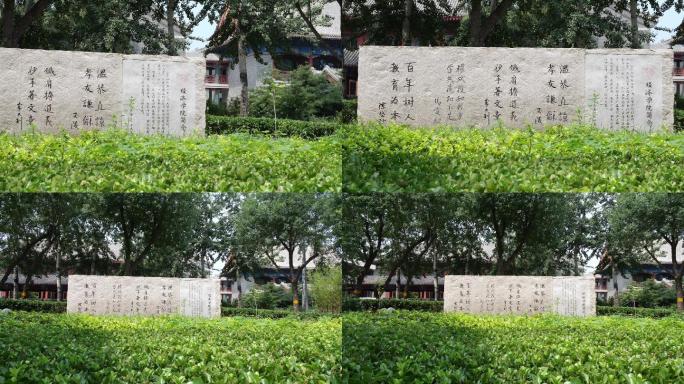 北大经济学院